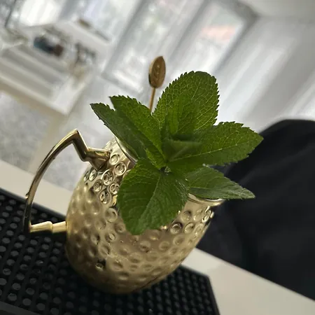 Casablanca Vendeghaz