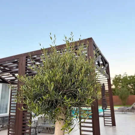 Pensjonat Casablanca Vendeghaz 5*